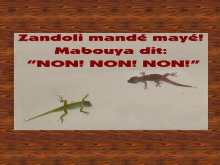  Zandoli mand� may�!------->p1                     